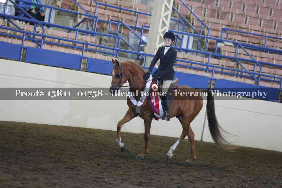 Proof Number 15R11_01758