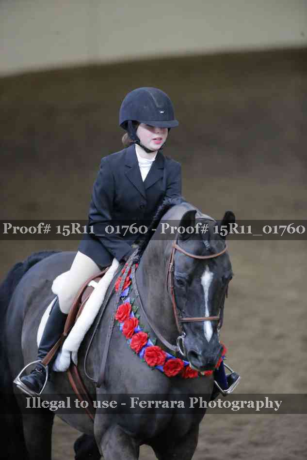 Proof Number 15R11_01760