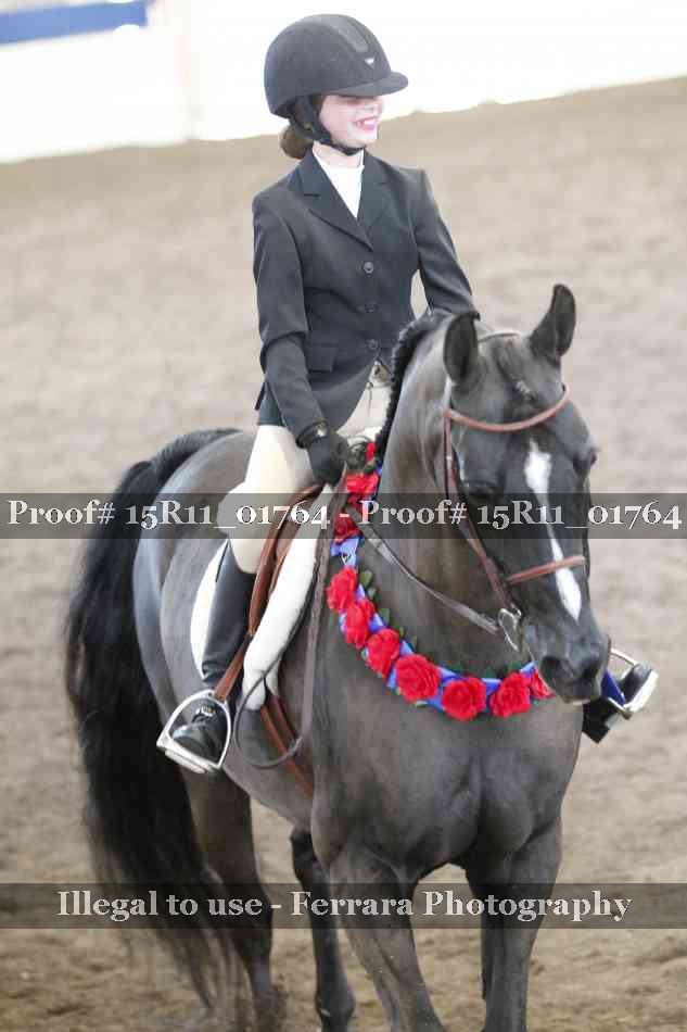 Proof Number 15R11_01764