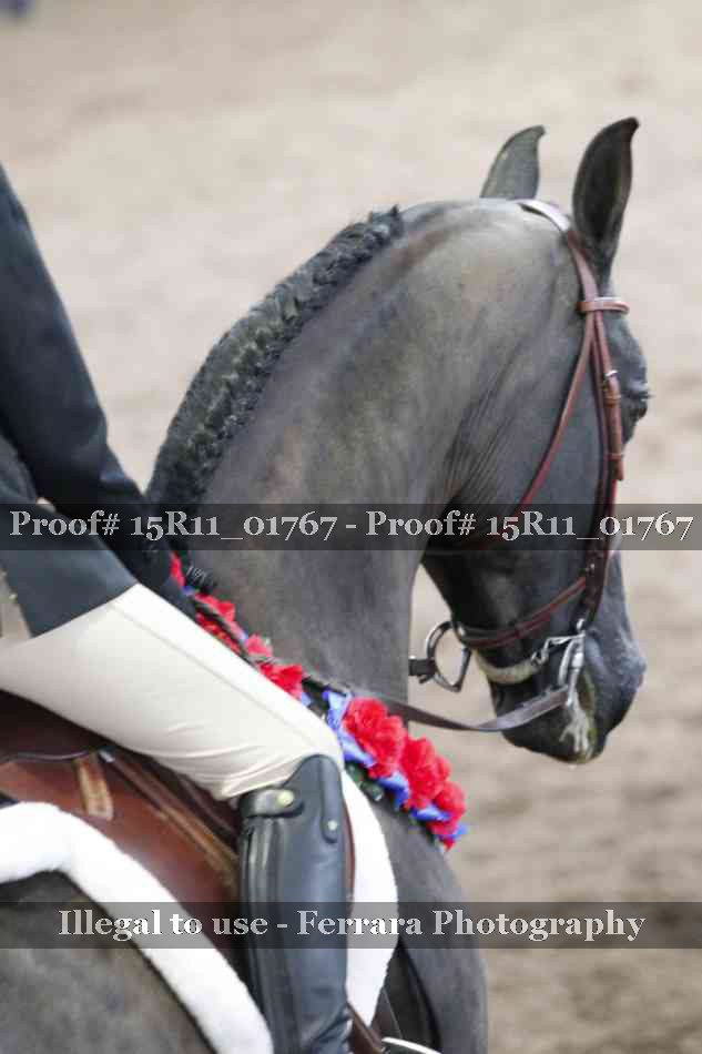 Proof Number 15R11_01767