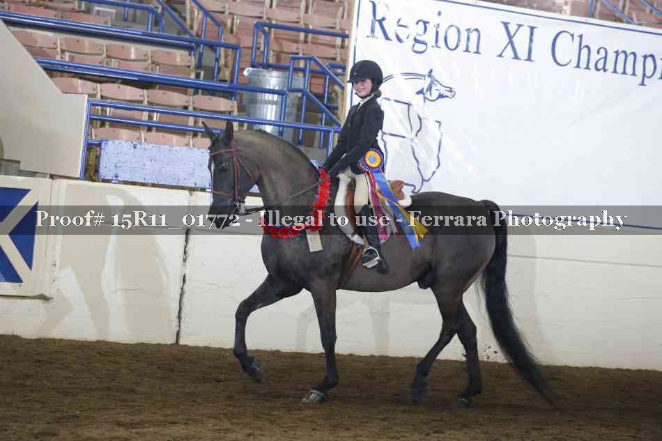 Proof Number 15R11_01772