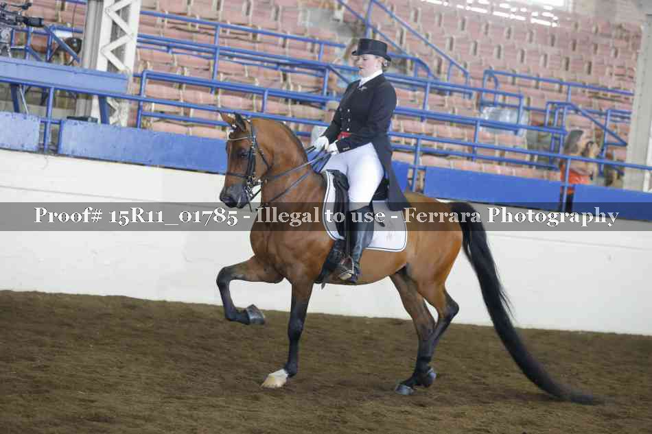 Proof Number 15R11_01785