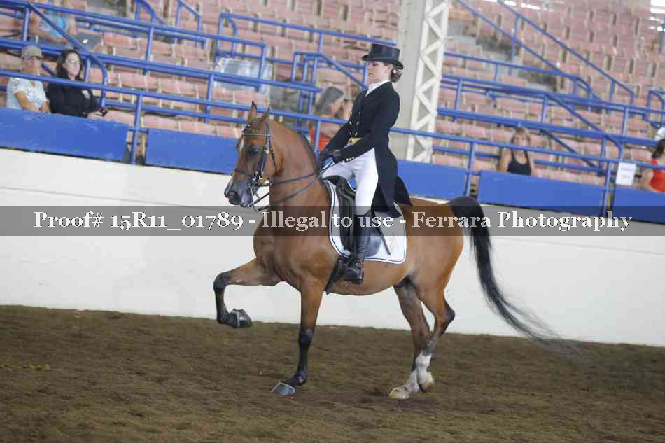 Proof Number 15R11_01789