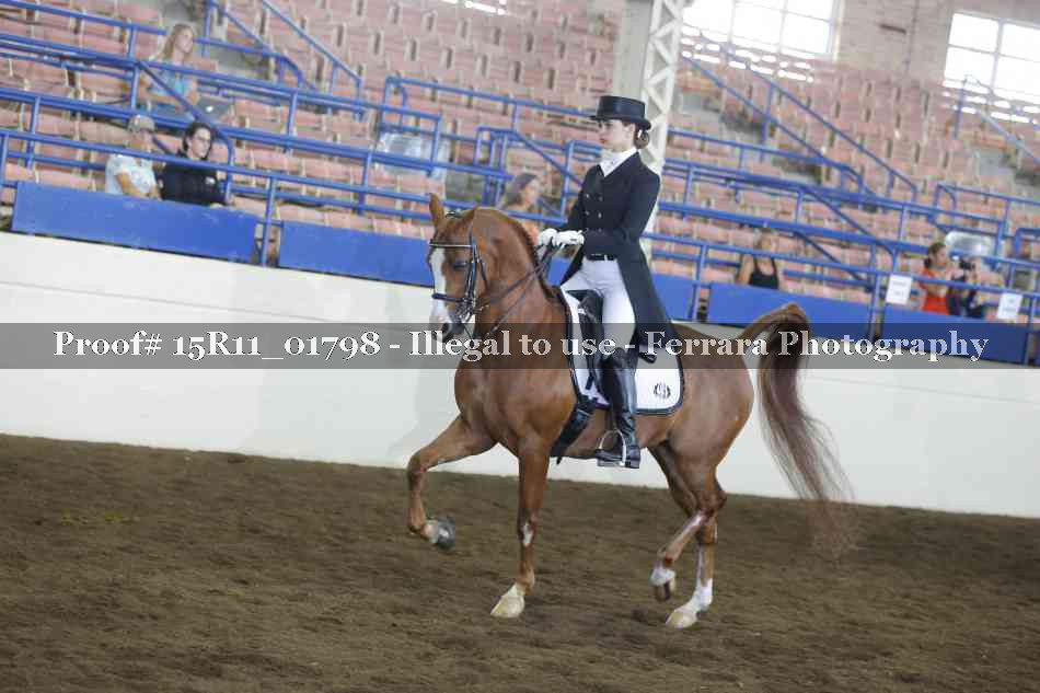 Proof Number 15R11_01798