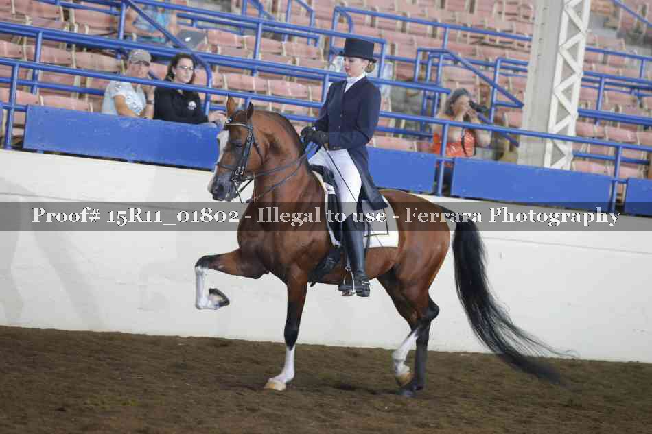 Proof Number 15R11_01802