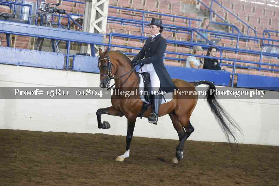Proof Number 15R11_01804
