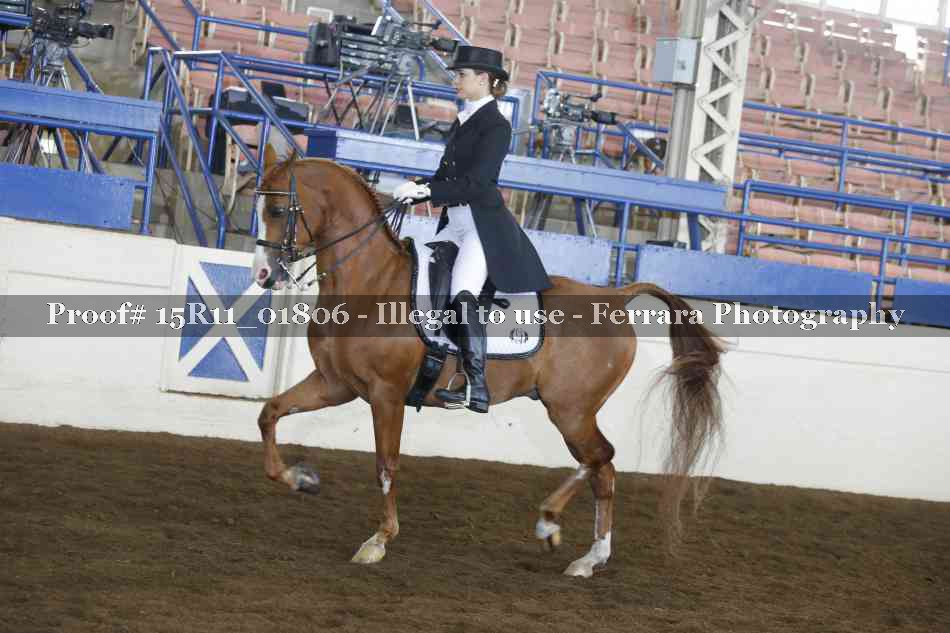 Proof Number 15R11_01806