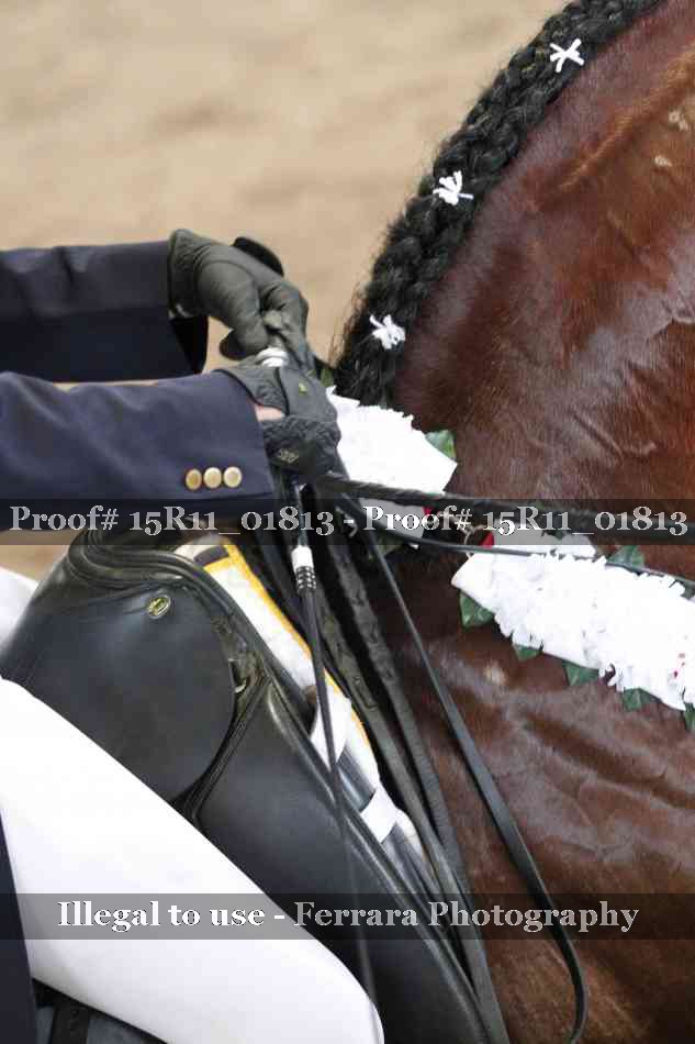 Proof Number 15R11_01813