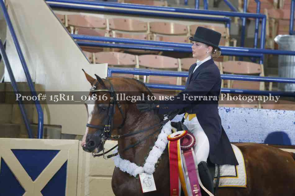 Proof Number 15R11_01816