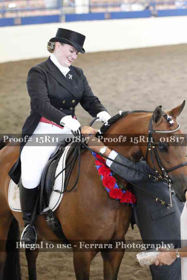 Proof Number 15R11_01817