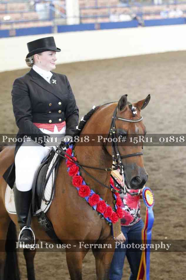 Proof Number 15R11_01818