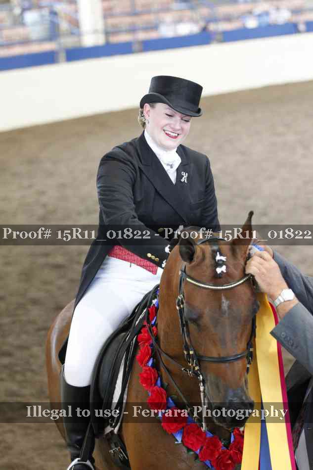 Proof Number 15R11_01822