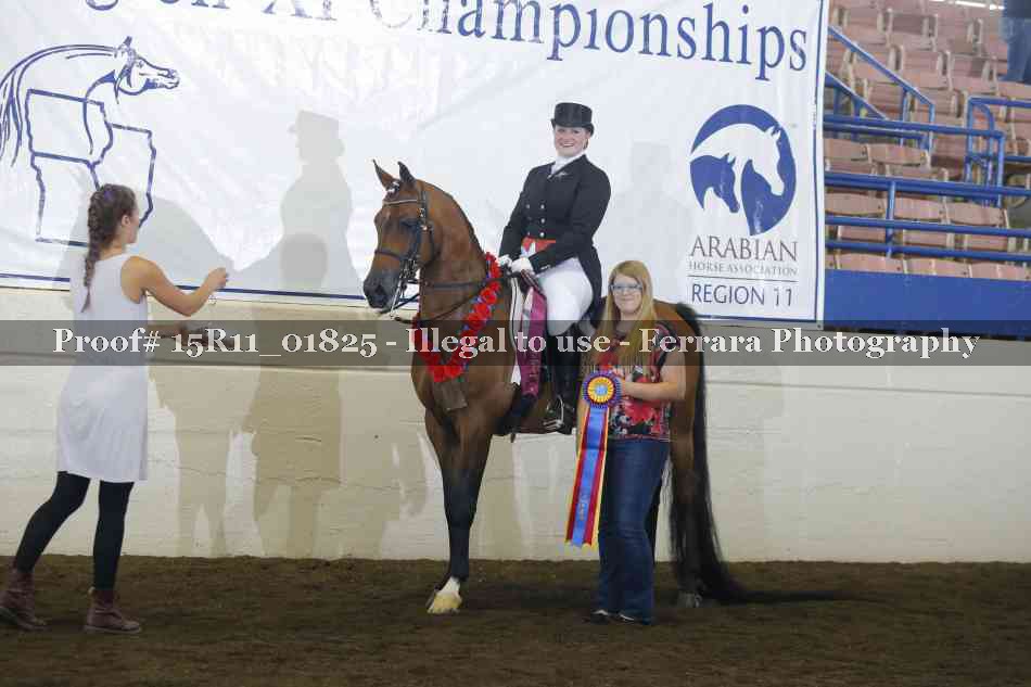 Proof Number 15R11_01825