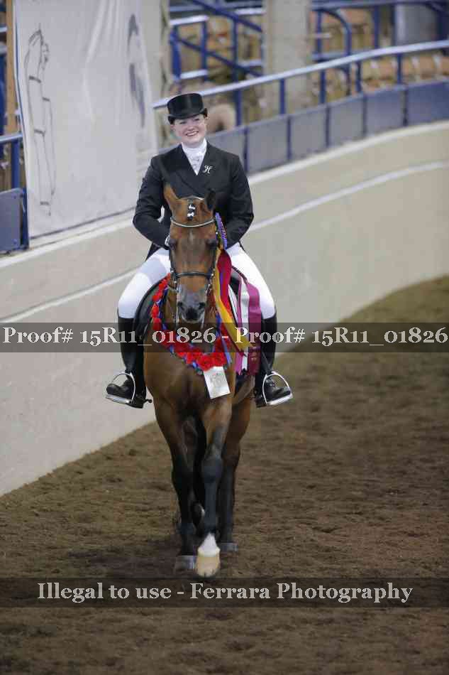 Proof Number 15R11_01826