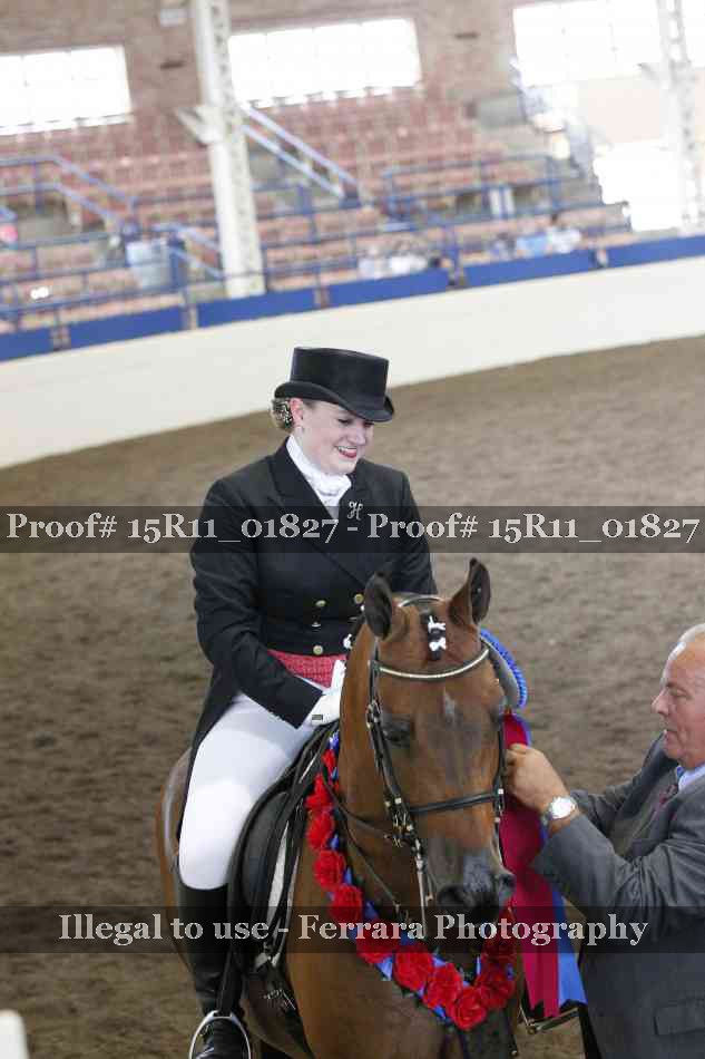 Proof Number 15R11_01827