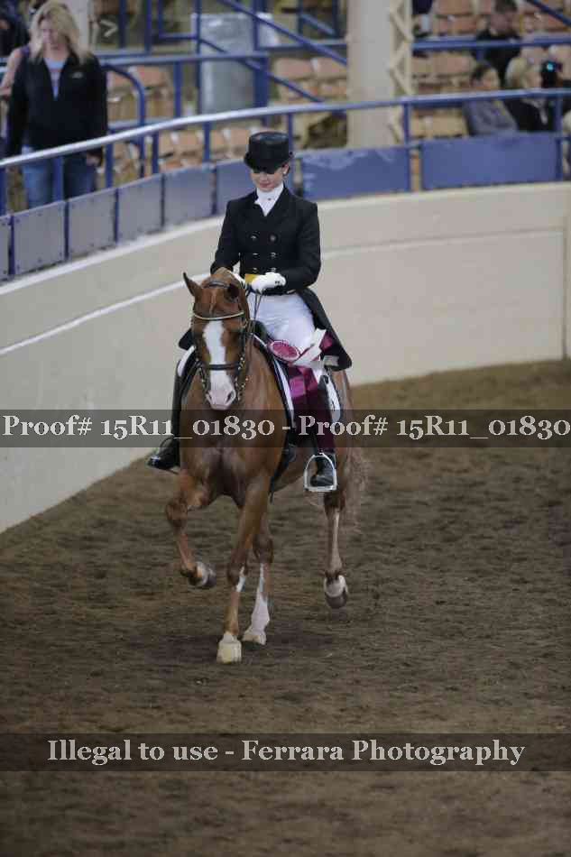 Proof Number 15R11_01830