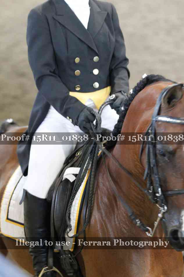 Proof Number 15R11_01838