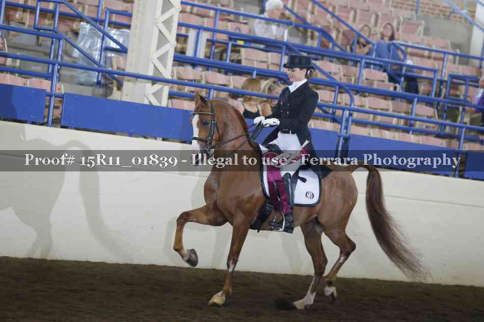 Proof Number 15R11_01839