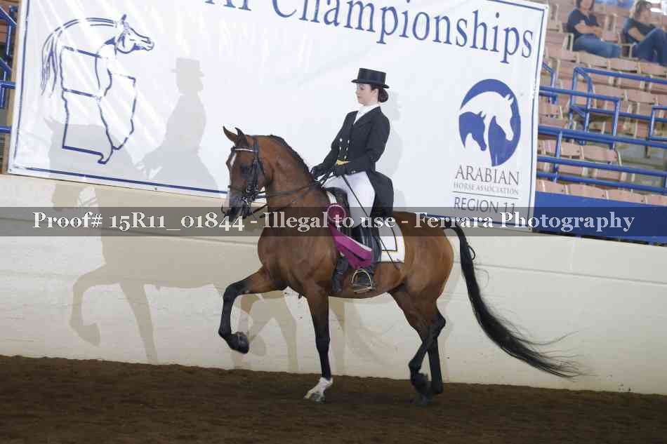 Proof Number 15R11_01844