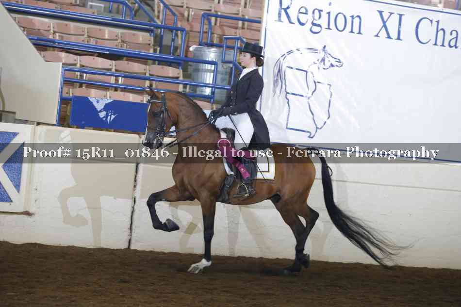 Proof Number 15R11_01846