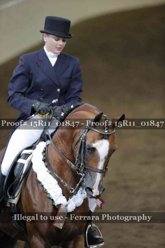 Proof Number 15R11_01847