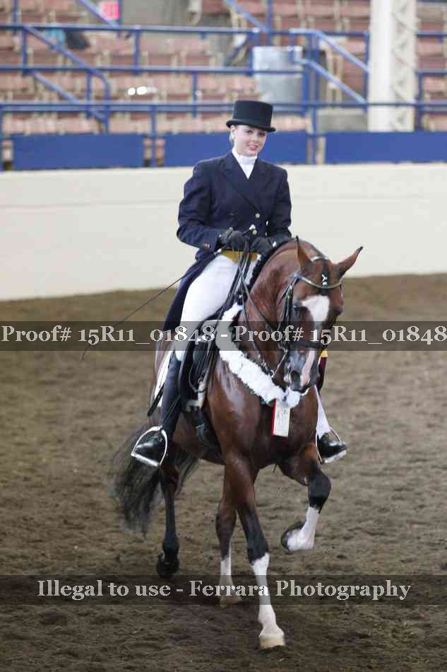 Proof Number 15R11_01848