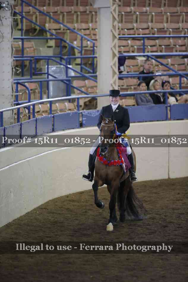 Proof Number 15R11_01852