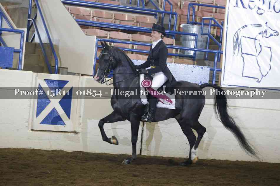 Proof Number 15R11_01854