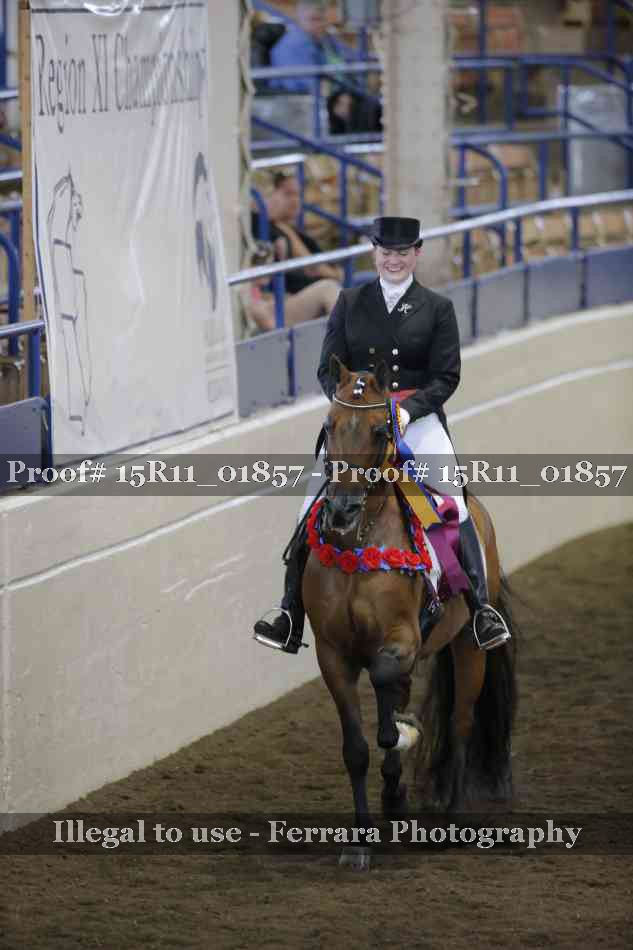 Proof Number 15R11_01857