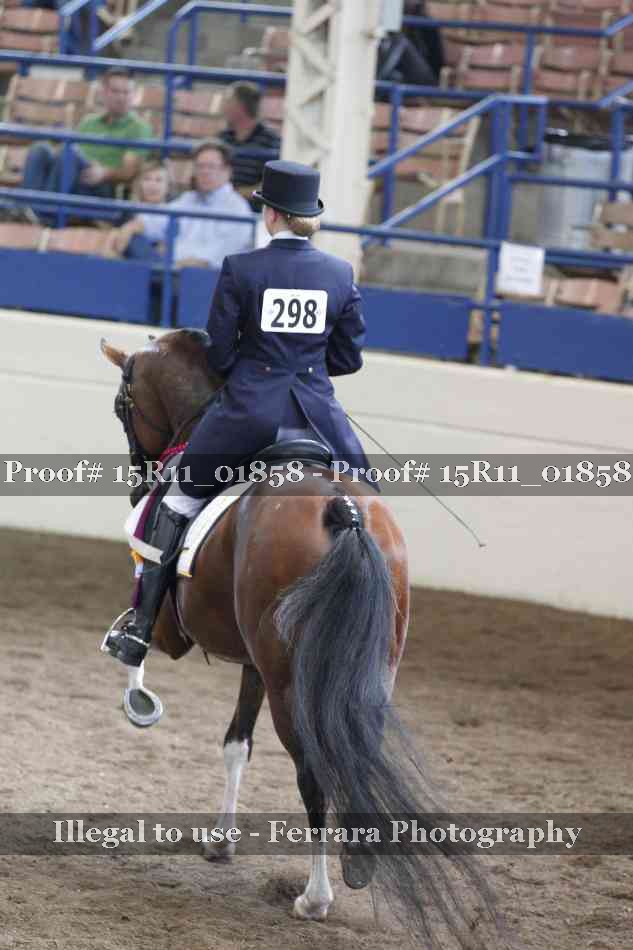 Proof Number 15R11_01858