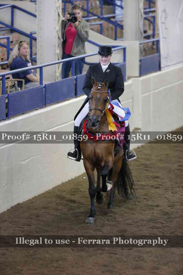 Proof Number 15R11_01859