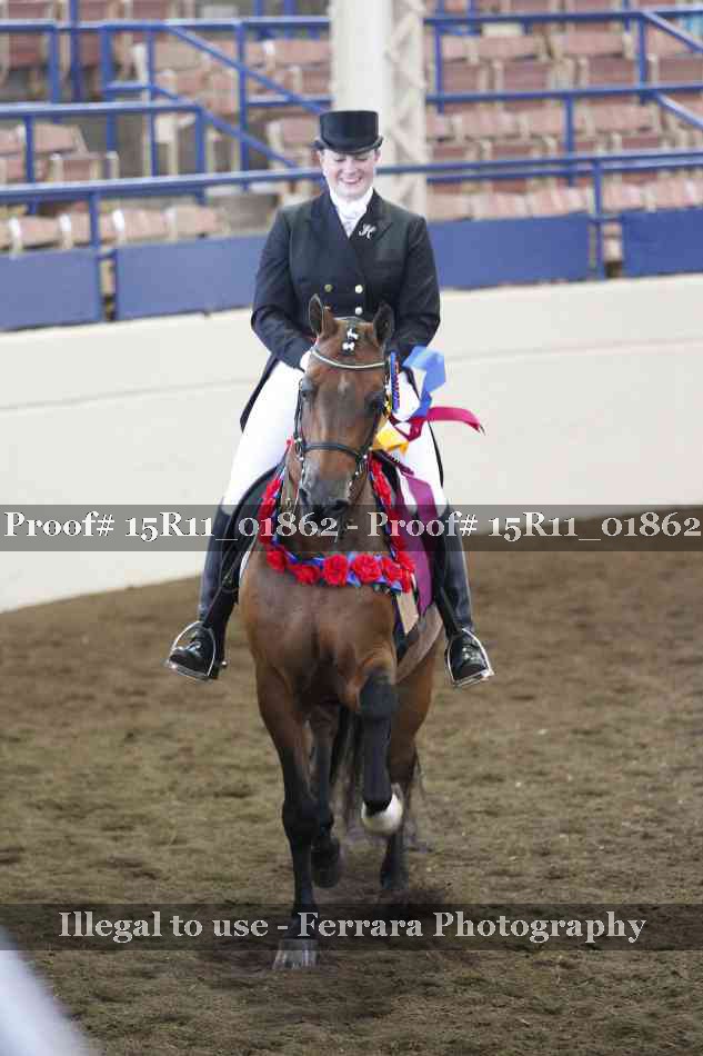 Proof Number 15R11_01862