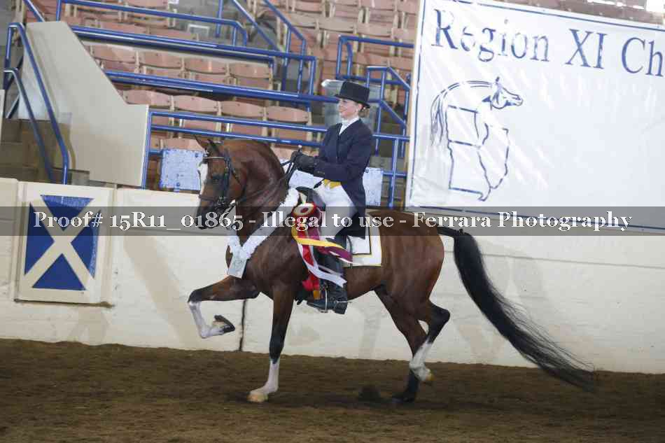Proof Number 15R11_01865