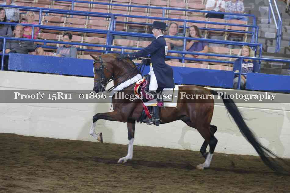 Proof Number 15R11_01866