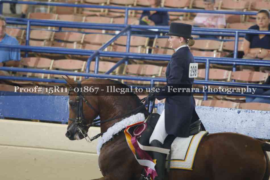 Proof Number 15R11_01867