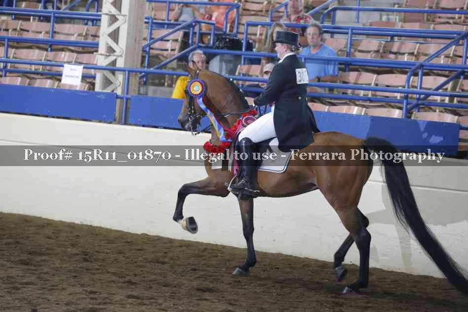 Proof Number 15R11_01870