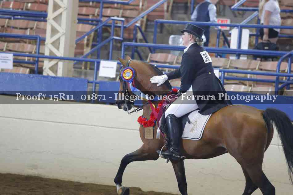 Proof Number 15R11_01871