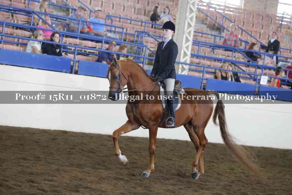 Proof Number 15R11_01872