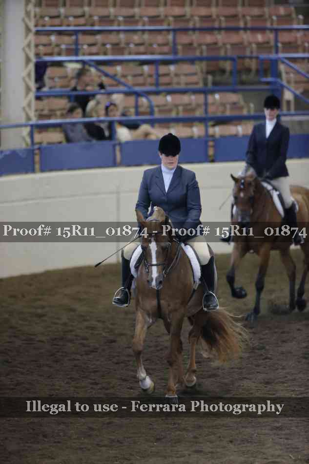 Proof Number 15R11_01874