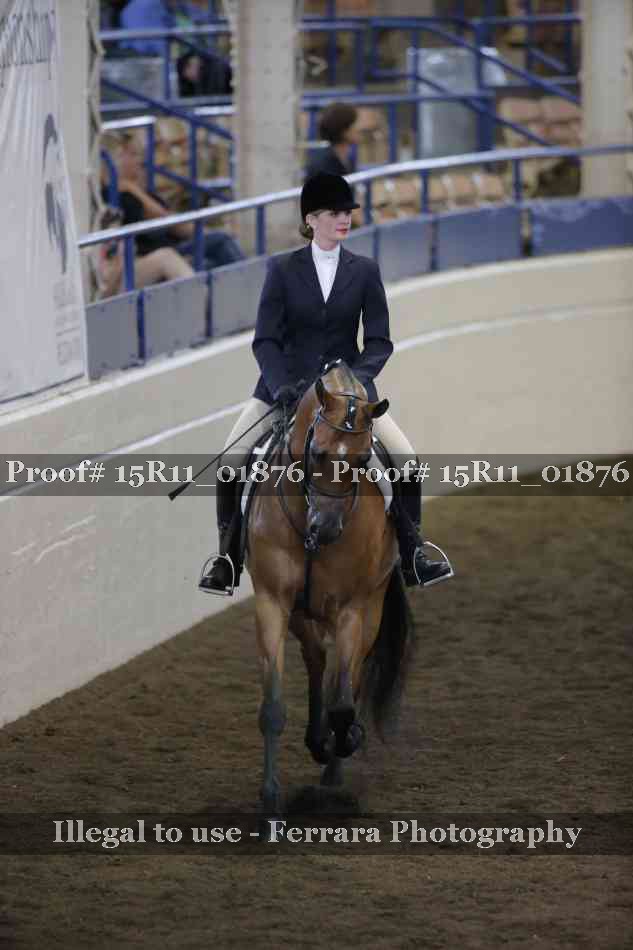 Proof Number 15R11_01876