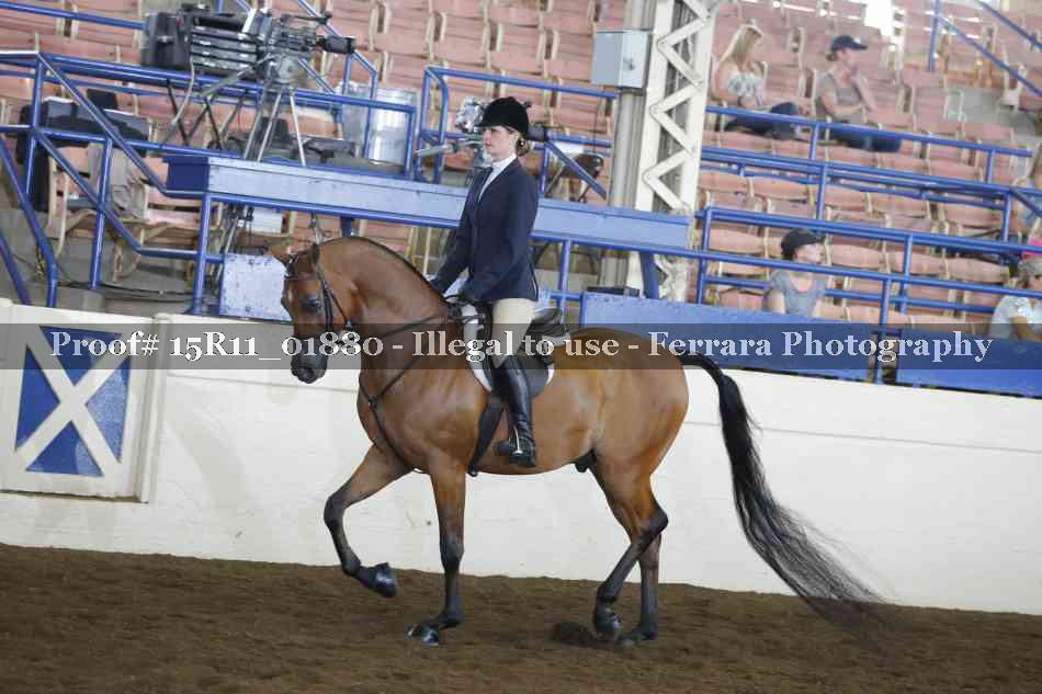 Proof Number 15R11_01880