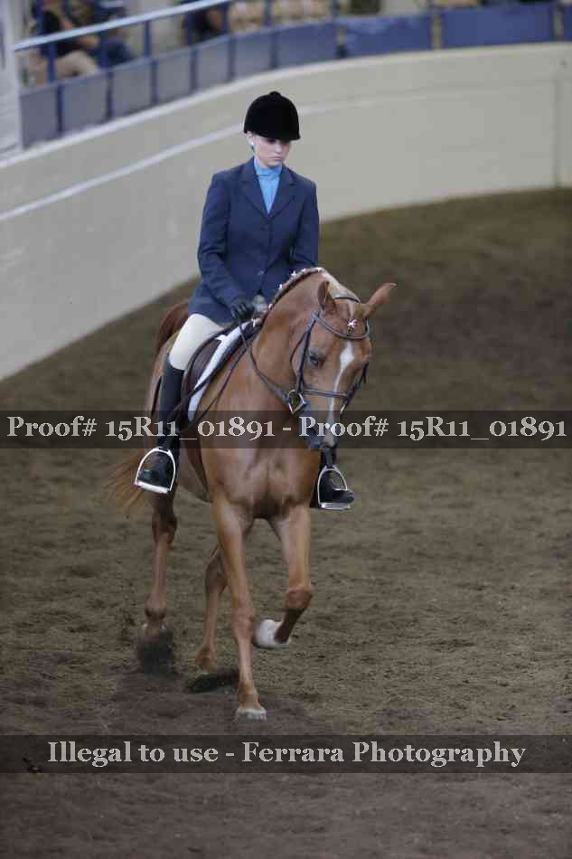 Proof Number 15R11_01891
