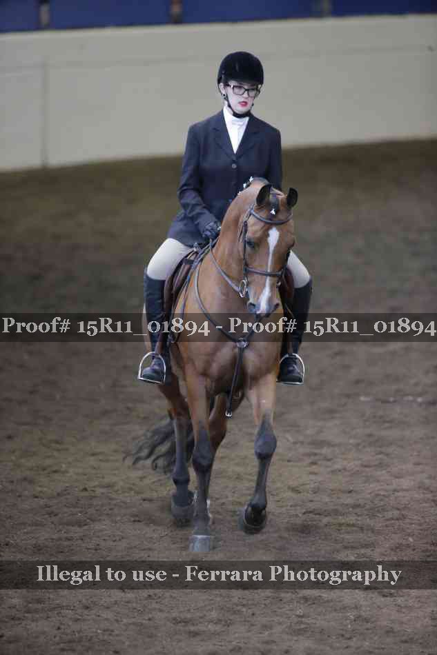 Proof Number 15R11_01894