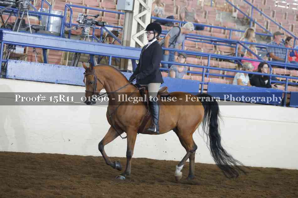 Proof Number 15R11_01896
