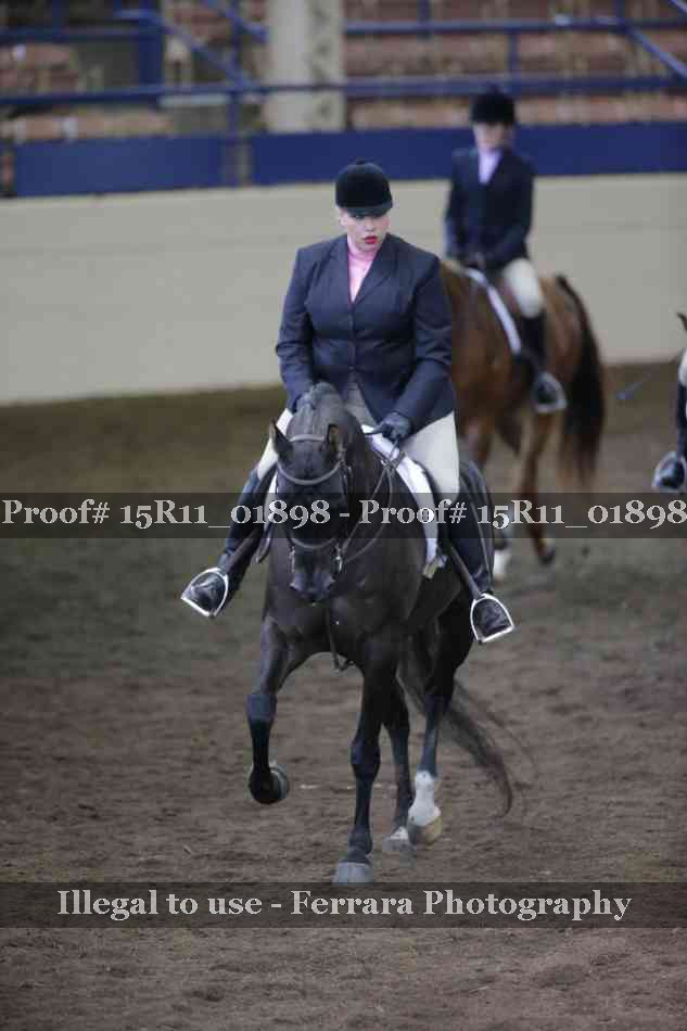 Proof Number 15R11_01898
