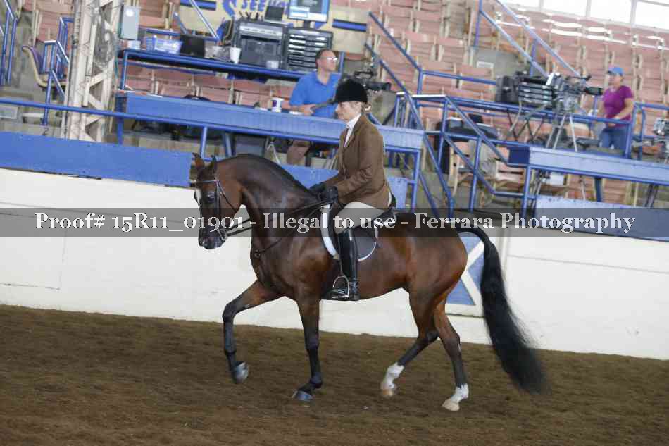 Proof Number 15R11_01901