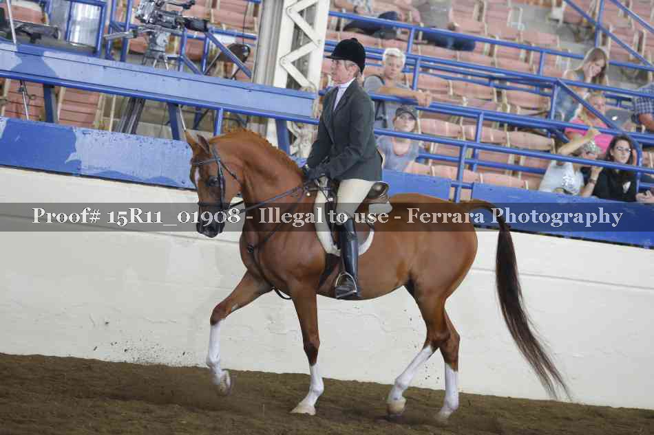 Proof Number 15R11_01908