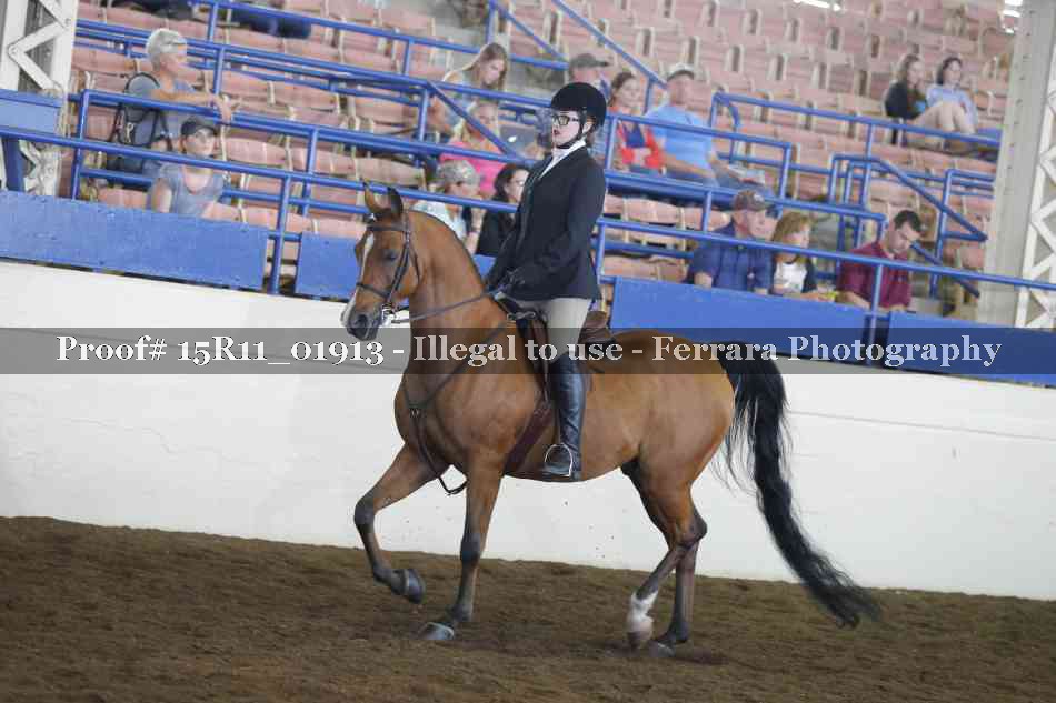 Proof Number 15R11_01913