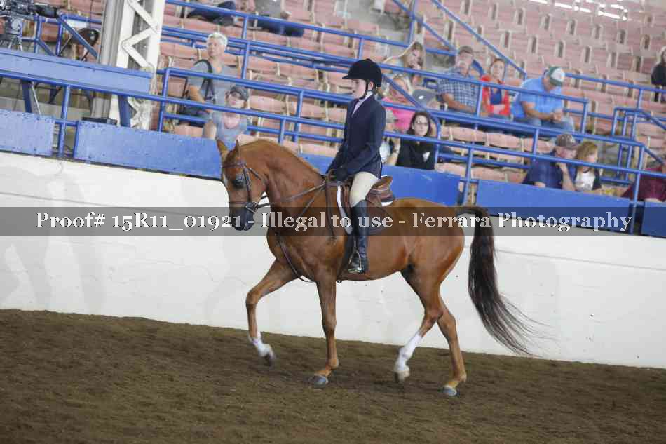 Proof Number 15R11_01921