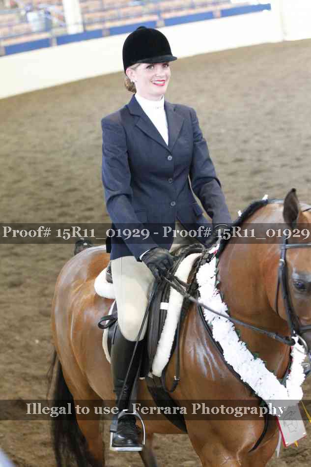 Proof Number 15R11_01929